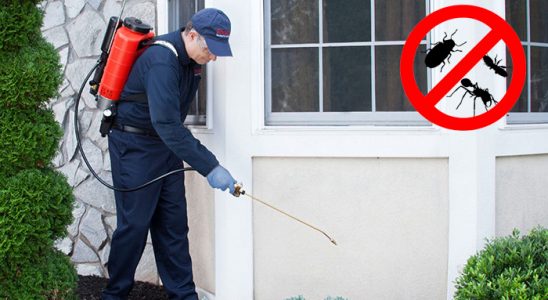Çivril Hamam Böceği İlaçlama böcek ilaçlama ve haşere kontrolü — ilaclama-tr.com